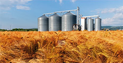 MVE-SS食品行業(yè)專用不銹鋼振動(dòng)電機(jī)